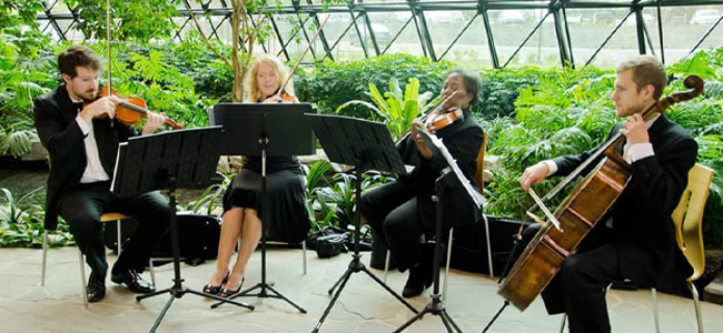 String Quartet for private parties in Detroit, MI